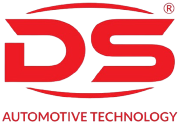Logo ds